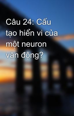 Câu 24: Cấu tạo hiển vi của một neuron vận động?