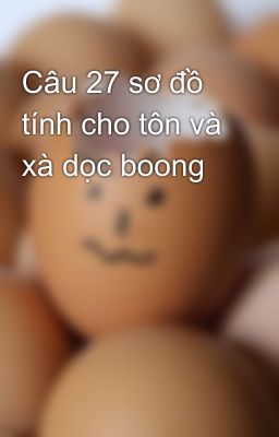 Câu 27 sơ đồ tính cho tôn và xà dọc boong