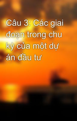 Câu 3: Các giai đoạn trong chu kỳ của một dự án đầu tư