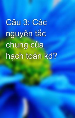 Câu 3: Các nguyên tắc chung của hạch toán kd?