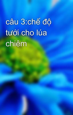 câu 3:chế độ tưới cho lúa chiêm