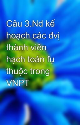 Câu 3.Nd kế hoạch các đvị thành viên hạch toán fụ thuộc trong VNPT