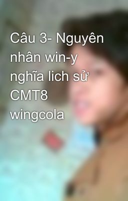 Câu 3- Nguyên nhân win-y nghĩa lich sử CMT8 wingcola