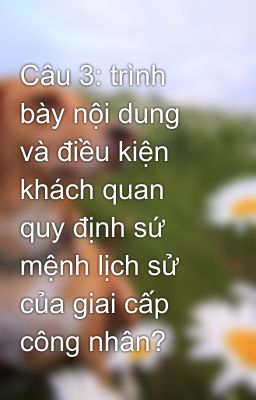 Câu 3: trình bày nội dung và điều kiện khách quan quy định sứ mệnh lịch sử của giai cấp công nhân?