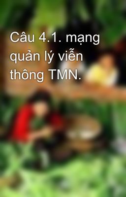 Câu 4.1. mạng quản lý viễn thông TMN.