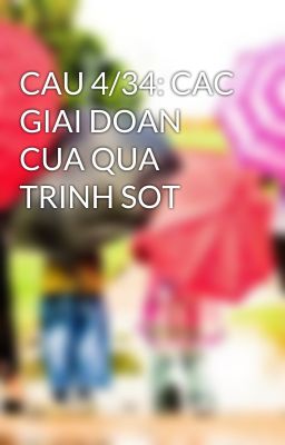 CAU 4/34: CAC GIAI DOAN CUA QUA TRINH SOT