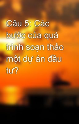 Câu 5: Các bước của quá trình soạn thảo một dự án đầu tư?