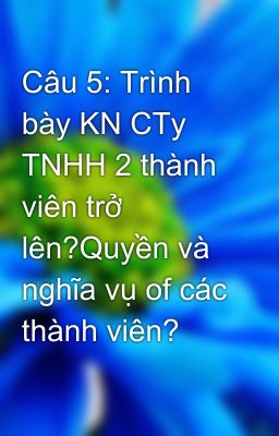 Câu 5: Trình bày KN CTy TNHH 2 thành viên trở lên?Quyền và nghĩa vụ of các thành viên?