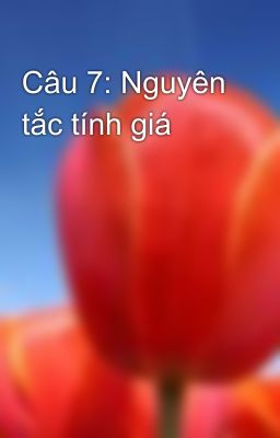 Câu 7: Nguyên tắc tính giá