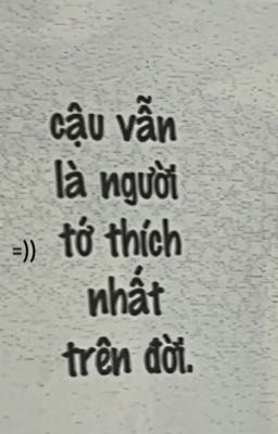Cậu ấy.