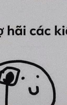 Câu chuyện của tôi 