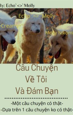 Câu chuyện về tôi và đám bạn