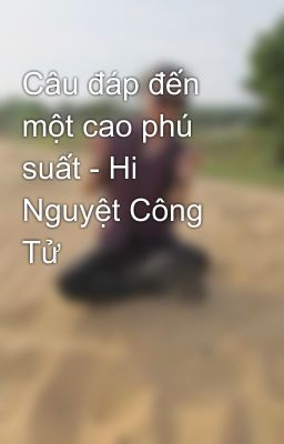 Câu đáp đến một cao phú suất - Hi Nguyệt Công Tử