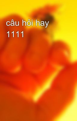 câu hỏi hay 1111