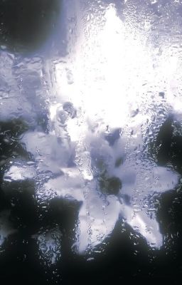 Câu hỏi và trả lời