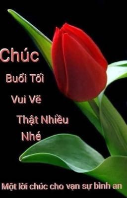 Cậu Không Thích Tớ Thế Này Sao - Thành Nam Hoa Khai