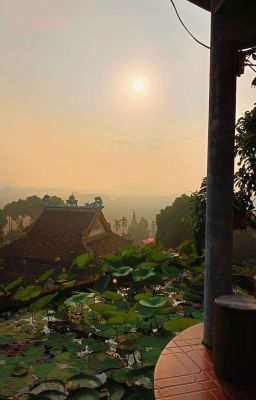 Cậu ơi, em đồng ý!