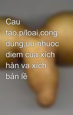 Cau tao,p/loai,cong dung,uu-nhuoc diem cua xích hàn va xích bản lề