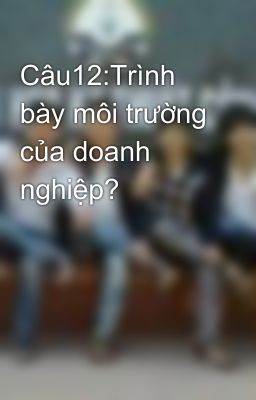 Câu12:Trình bày môi trường của doanh nghiệp?