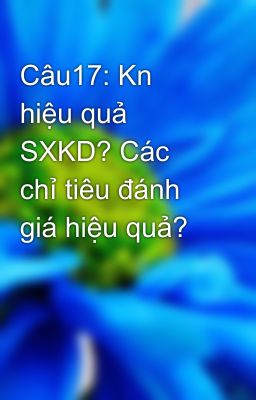 Câu17: Kn hiệu quả SXKD? Các chỉ tiêu đánh giá hiệu quả?