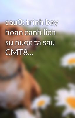 cau3: trinh bay hoan canh lich su nuoc ta sau CMT8...