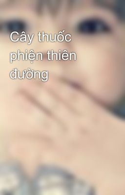 Cây thuốc phiện thiên đường