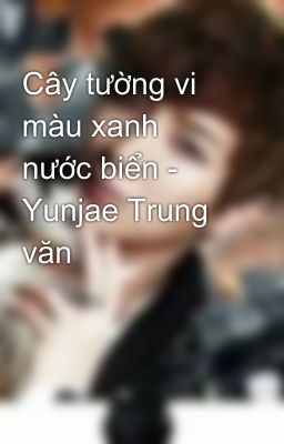 Cây tường vi màu xanh nước biển - Yunjae Trung văn