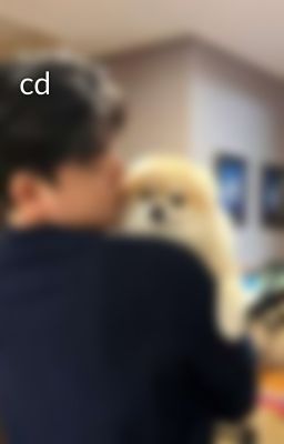 cd