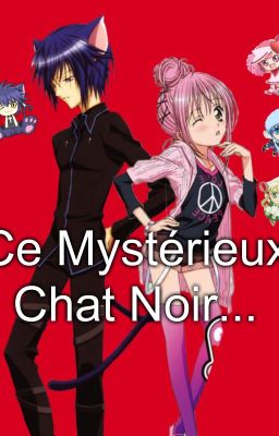 ►Ce Mystérieux Chat Noir ◄