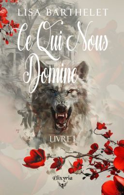 Ce qui nous domine - Livre 1