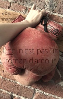 Ceci n'est pas un roman d'amour