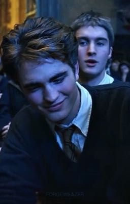 Cedric Diggory ; your name