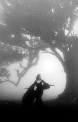 cedwood | tổng hợp oneshot