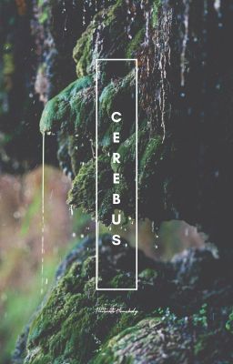 Cerebus || Book 2