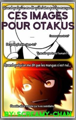 Ces images pour otakus