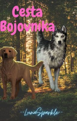 Cesta Bojovníka