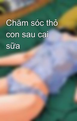 Chăm sóc thỏ con sau cai sữa