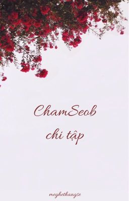 ChamSeob chi tập