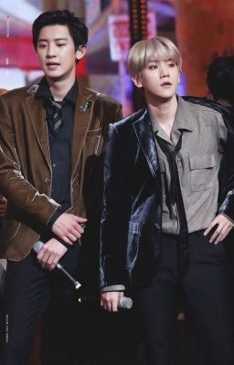 [CHANBAEK] YÊU EM TỪ CÚ ĐẤM ĐẦU TIÊN