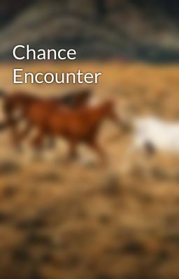 Chance Encounter