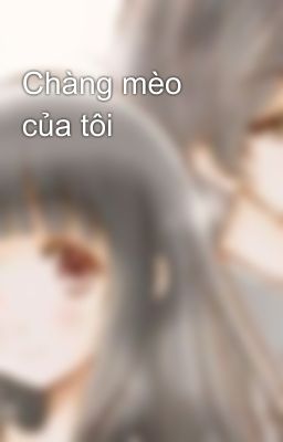 Chàng mèo của tôi