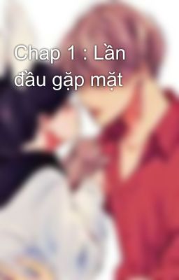 Chap 1 : Lần đầu gặp mặt