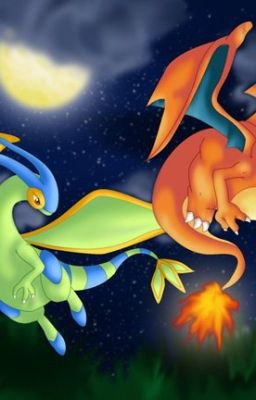 Charizard x Flygon one shots