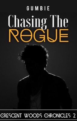 Chasing The Rogue