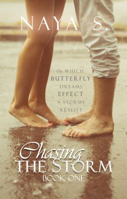 Chasing the Storm (Chasing the Storm, #1) - PUBLISHED