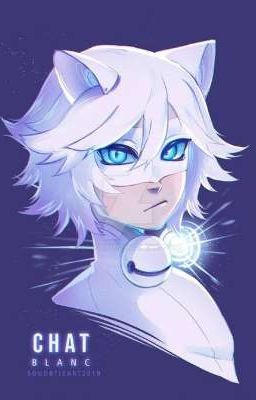 Chat Blanc ~ Miraculous