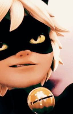 Chat Noir is hot