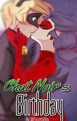 Chat Noir's Birthday || LadyNoir OneShot