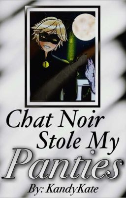 Chat Noir Stole My Panties (MLB Fanfiction)