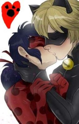  Chat Noir X Ladybug 